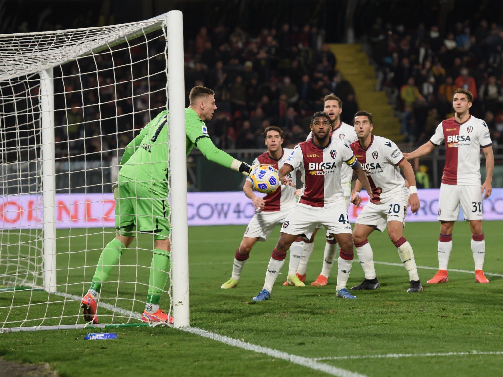 共同商讨新 共同商讨新